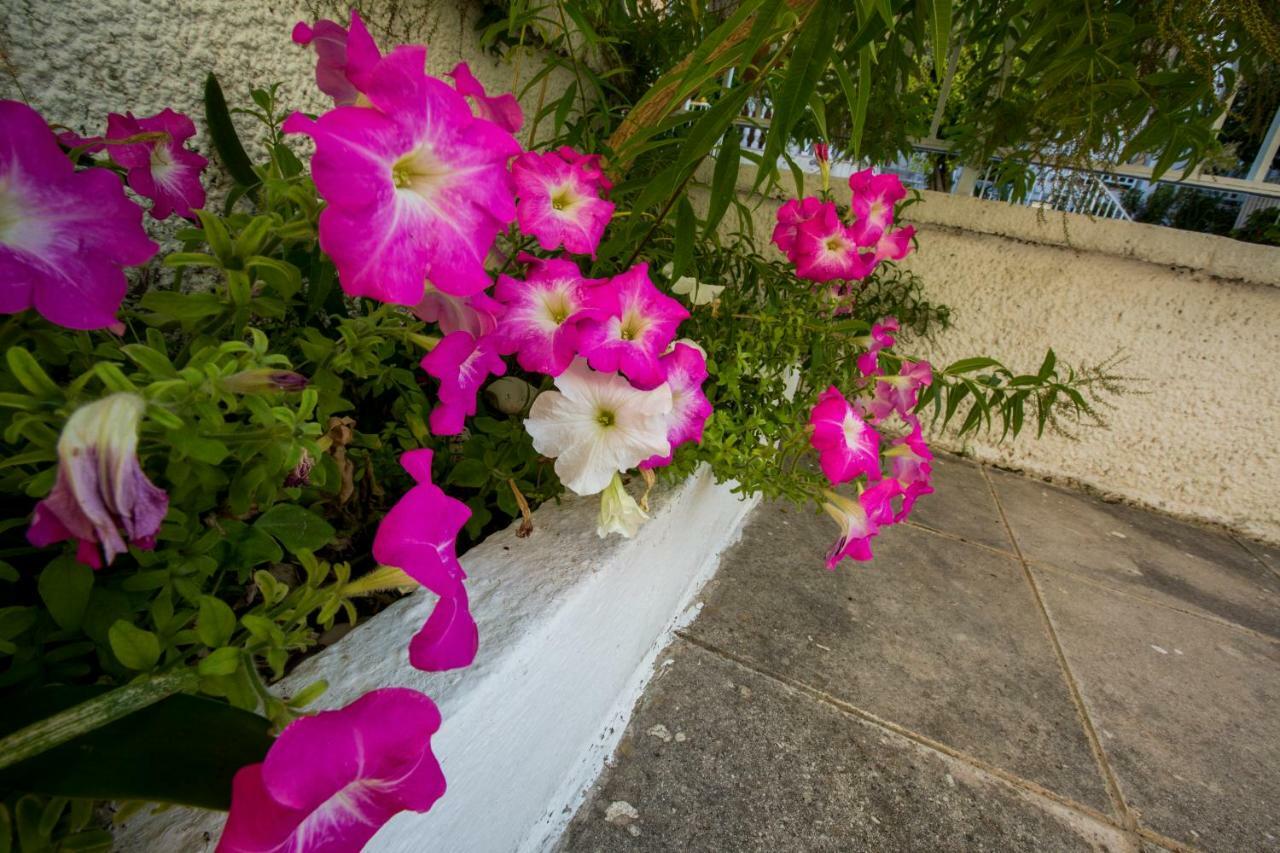 Marietta'S Townhouse Villa Argostoli  Eksteriør billede