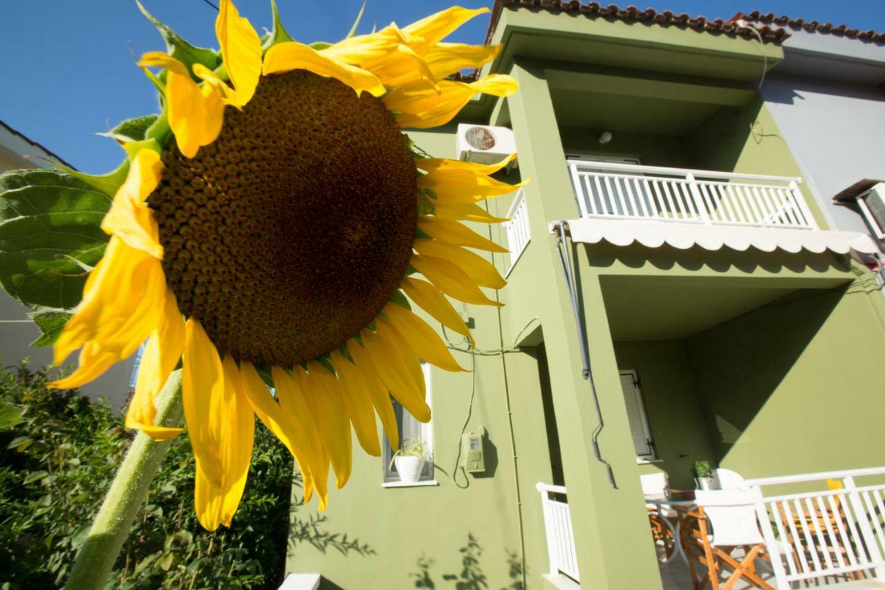 Marietta'S Townhouse Villa Argostoli  Eksteriør billede